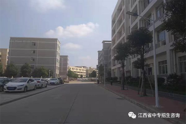 實訓(xùn)實習(xí)