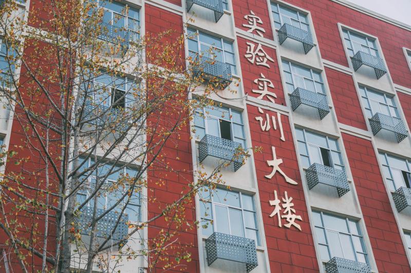 實(shí)訓(xùn)實(shí)習(xí)